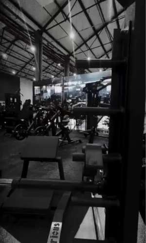 João Gabriel João Gabriel